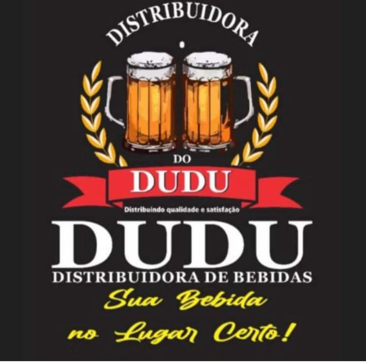 Distribuidora Dudu Cardoso